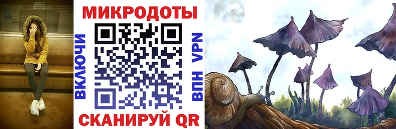 Купить  Ельня  Псилоцибиновые грибы прущие грибы 